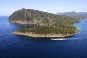 Bruny Island Cruises 3 Hour Cruise with Kettering Bus Pickup Tasmania Australia